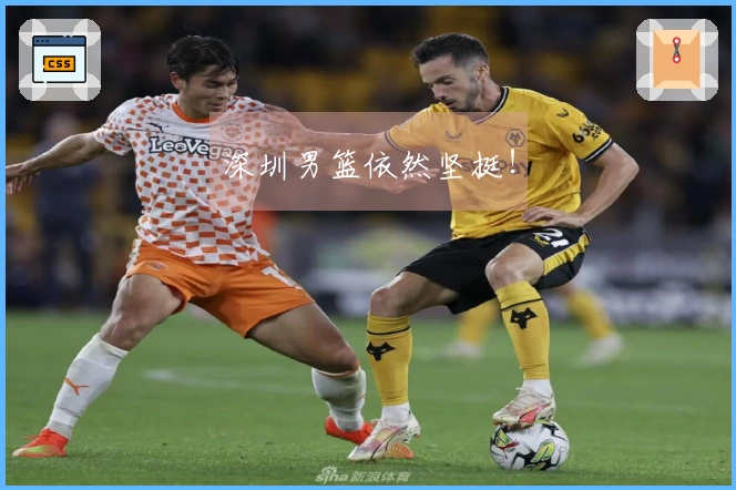 深圳男篮依然坚挺！